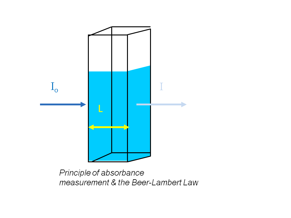 Beer-Lambert Measurement