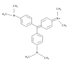 CV structure